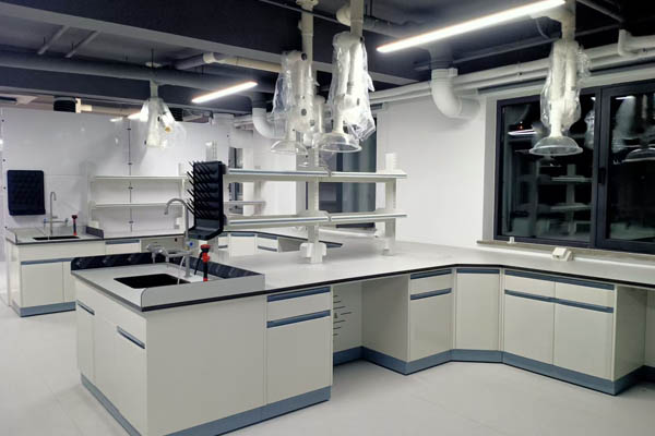 生物實(shí)驗(yàn)室建設(shè)設(shè)計(jì)說明怎么寫？